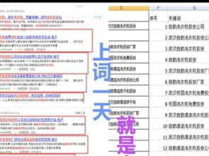 國慶獻禮，濃情回饋 網站建設698元限時搶購，助力武漢產品供應加工企業騰飛