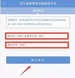 2019年四川省高考成績查詢攻略
